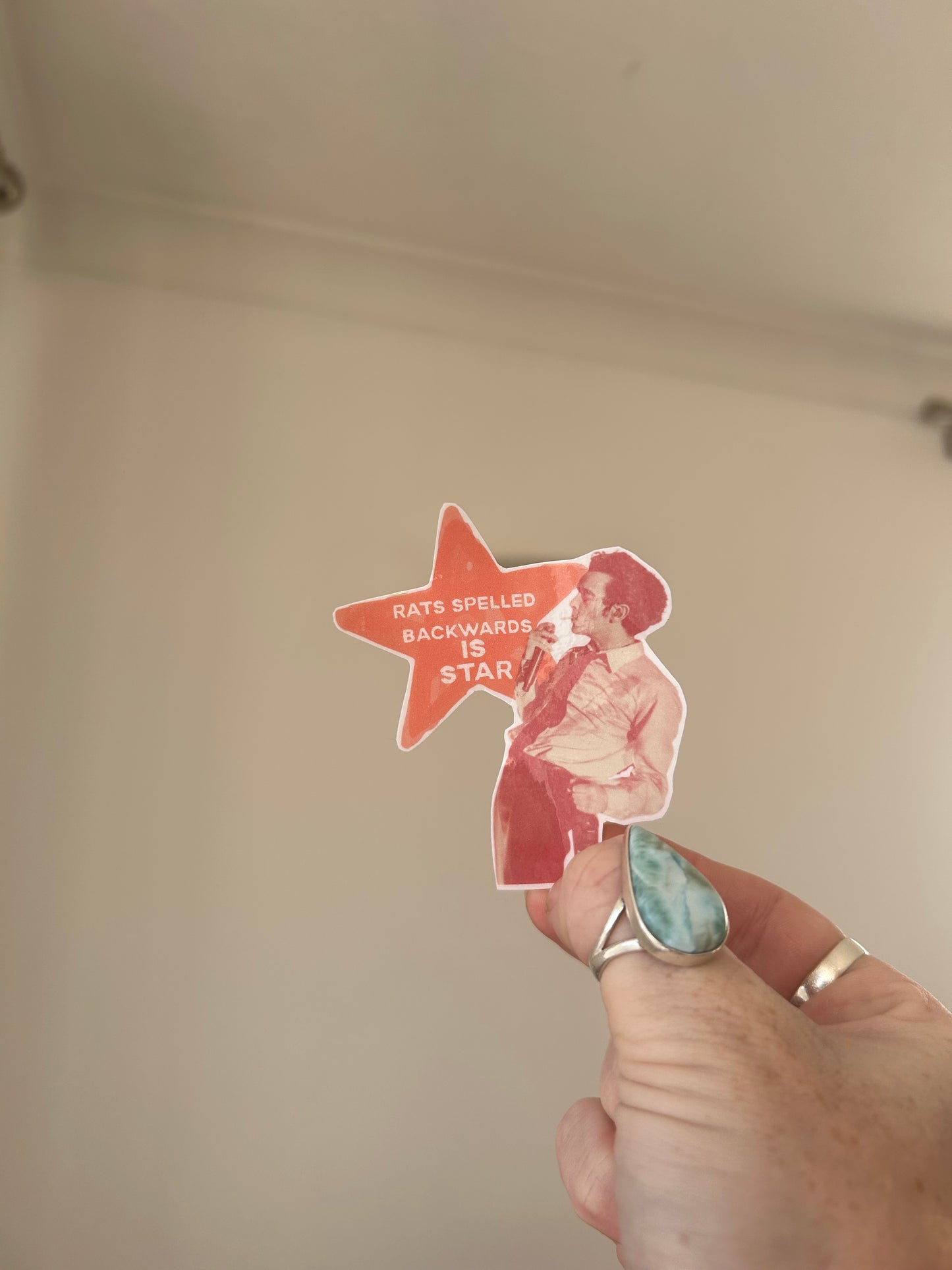 rats sticker